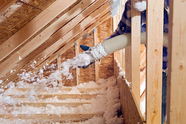 Best Blown-In Insulation  in USA